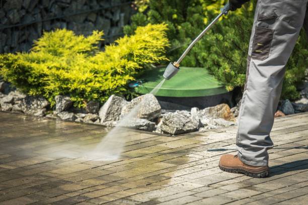 Best Sidewalk and Walkway Cleaning  in Northview, MI