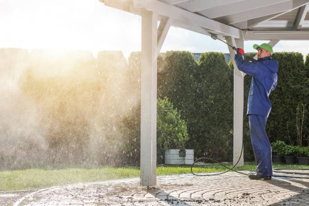 Best Boat and Dock Cleaning  in Northview, MI