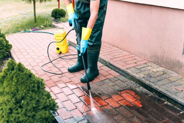 Best Patio and Deck Pressure Washing  in Northview, MI