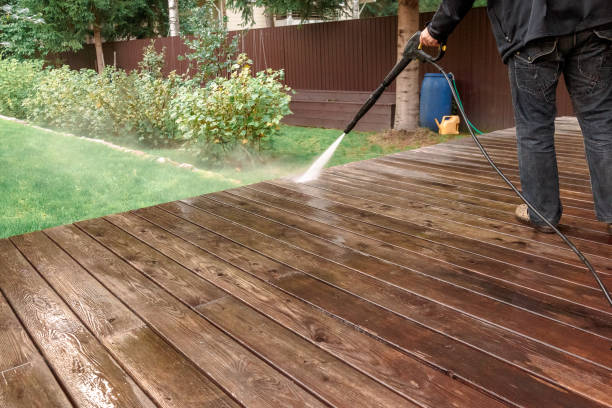 Best Animal Enclosure Cleaning  in Northview, MI