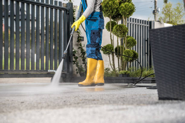 Best Driveway Pressure Washing  in Northview, MI